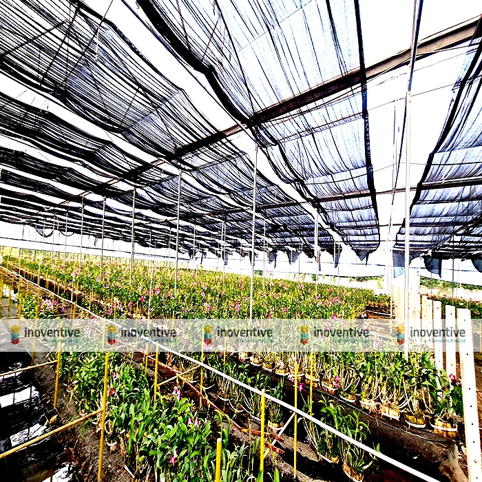 Agrosia PET Wire: Unveiling the Future of Floriculture